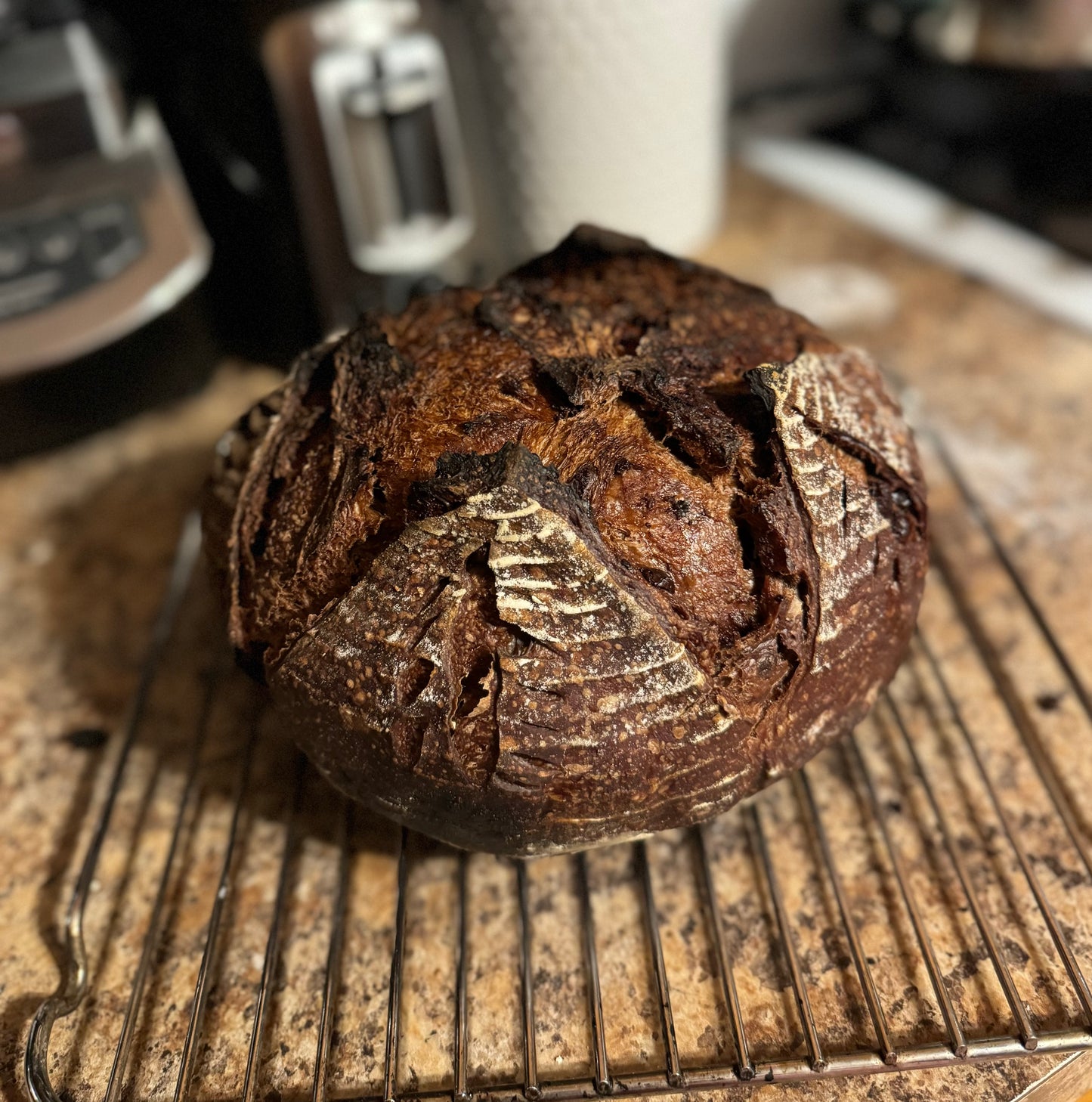 Sourdough Loaf (PRE ORDER ONLY PICK UP ON 07-21)