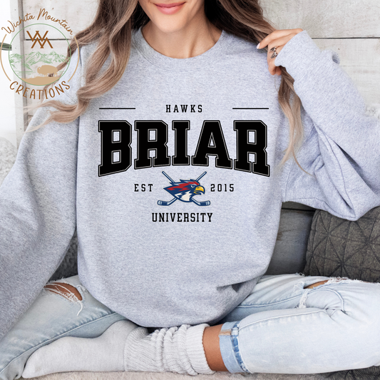 Briar University