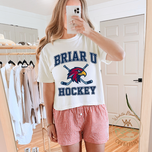 Briar Hockey