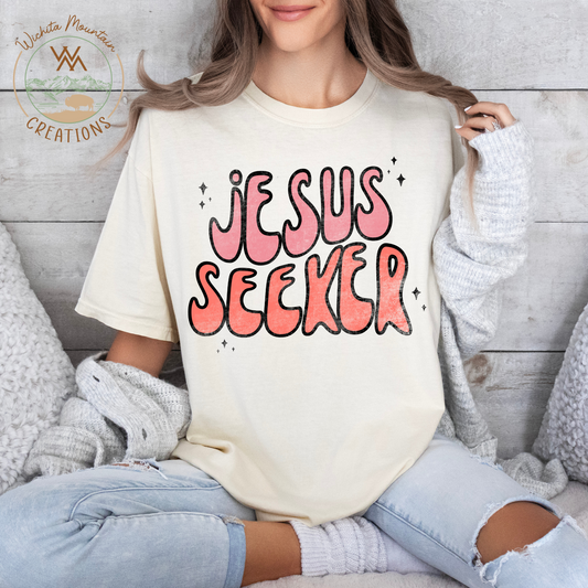 Jesus Seeker